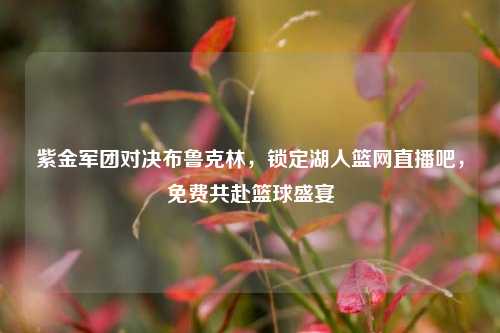 紫金军团对决布鲁克林，锁定湖人篮网直播吧，免费共赴篮球盛宴