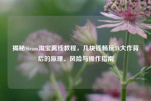 揭秘Steam淘宝离线教程，几块钱畅玩3A大作背后的原理、风险与操作指南