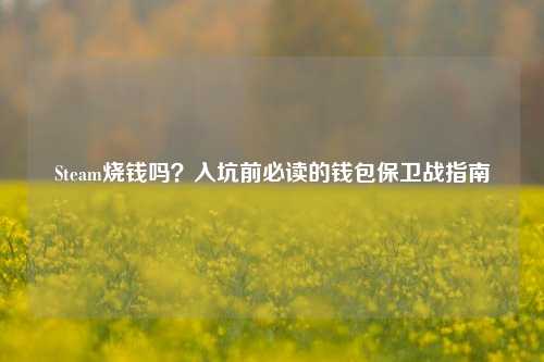 Steam烧钱吗?入坑前必读的钱包保卫战指南