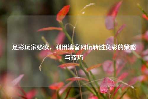 足彩玩家必读,利用澳客网玩转胜负彩的策略与技巧
