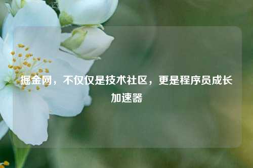 掘金网，不仅仅是技术社区，更是程序员成长加速器