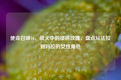 使命召唤16,战火中的铿锵玫瑰,盘点从法拉到玛拉的女性角色
