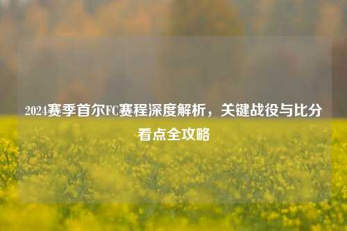 2024赛季首尔FC赛程深度解析，关键战役与比分看点全攻略