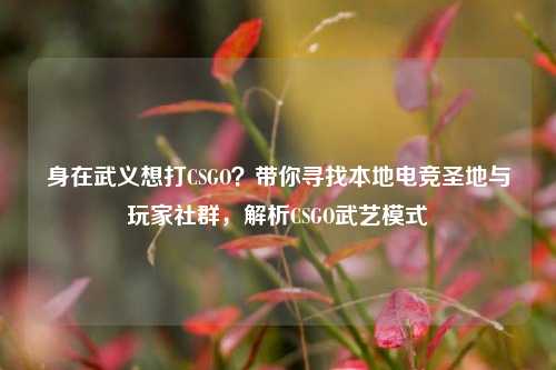 身在武义想打CSGO？带你寻找本地电竞圣地与玩家社群，解析CSGO武艺模式