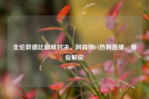 北伦敦德比巅峰对决,阿森纳VS热刺直播,詹俊解说