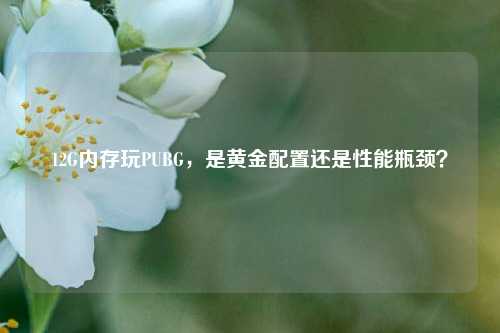12G内存玩PUBG,是黄金配置还是性能瓶颈?