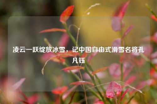 凌云一跃绽放冰雪,记中国自由式滑雪名将孔凡钰
