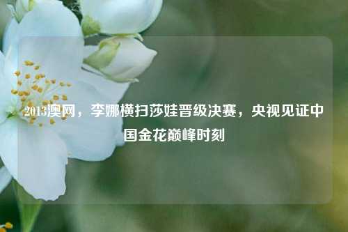 2013澳网,李娜横扫莎娃晋级决赛,央视见证中国金花巅峰时刻
