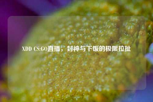 XDD CS:GO直播,封神与下饭的极限拉扯