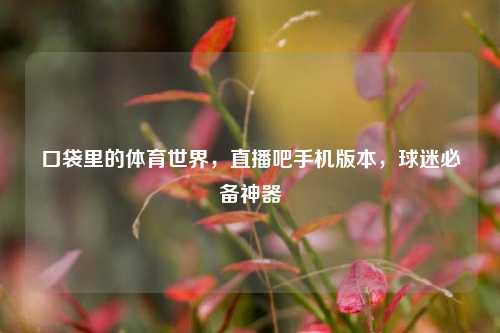 口袋里的体育世界，直播吧手机版本，球迷必备神器