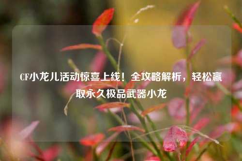 CF小龙儿活动惊喜上线！全攻略解析，轻松赢取永久极品武器小龙