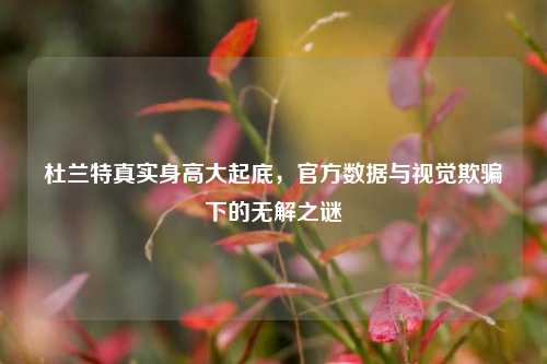 杜兰特真实身高大起底,官方数据与视觉欺骗下的无解之谜