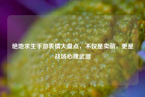 绝地求生手游表情大盘点，不仅是卖萌，更是战场心理武器