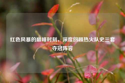红色风暴的巅峰时刻，深度回顾热火队史三套夺冠阵容