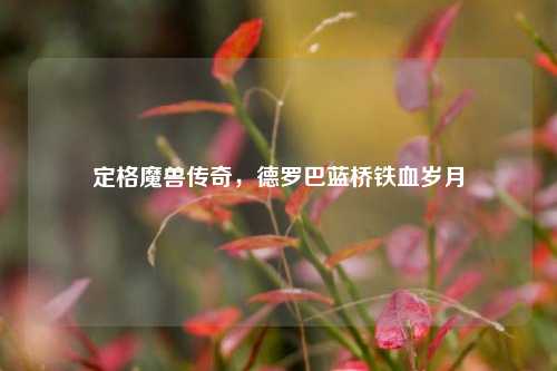 定格魔兽传奇,德罗巴蓝桥铁血岁月