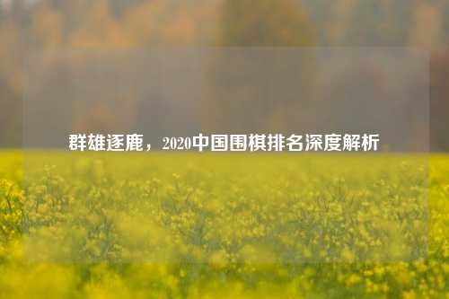 群雄逐鹿,2020中国围棋排名深度解析