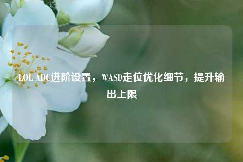 LOL ADC进阶设置,WASD走位优化细节,提升输出上限