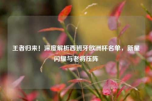 王者归来!深度解析西班牙欧洲杯名单,新星闪耀与老将压阵
