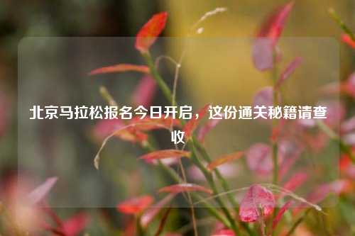 北京马拉松报名今日开启，这份通关秘籍请查收