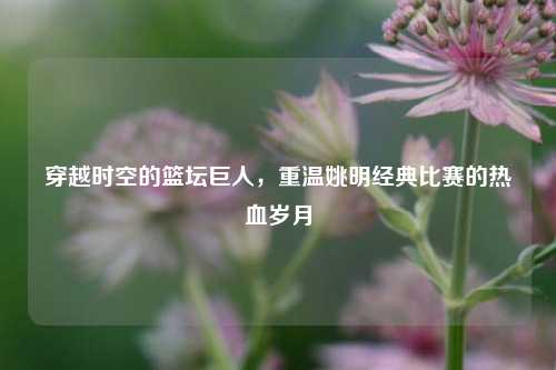 穿越时空的篮坛巨人,重温姚明经典比赛的热血岁月
