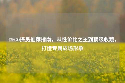 CS:GO探员推荐指南,从性价比之王到顶级收藏,打造专属战场形象