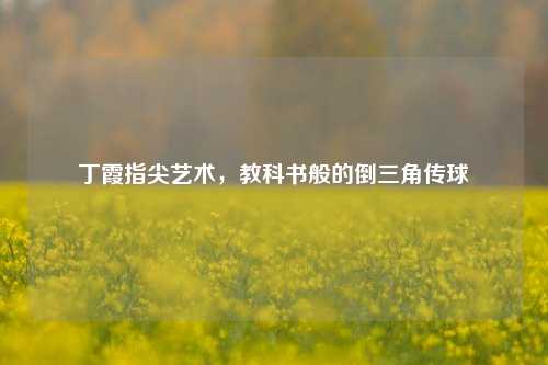 丁霞指尖艺术，教科书般的倒三角传球