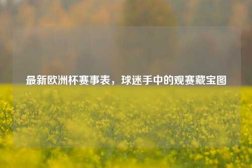 最新欧洲杯赛事表,球迷手中的观赛藏宝图