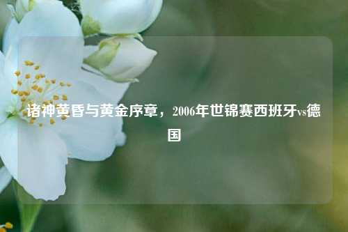 诸神黄昏与黄金序章，2006年世锦赛西班牙vs德国