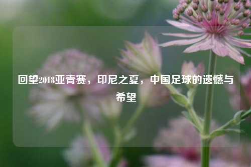 回望2018亚青赛，印尼之夏，中国足球的遗憾与希望
