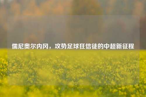 儒尼奥尔内冈,攻势足球狂信徒的中超新征程
