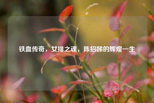 铁血传奇,女排之魂,陈招娣的辉煌一生