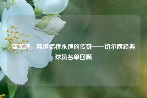 蓝军魂，斯坦福桥永恒的传奇——切尔西经典球员名单回顾