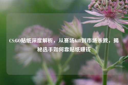 CS:GO贴纸深度解析，从赛场Kill到市场杀戮，揭秘选手如何靠贴纸赚钱