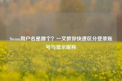 Steam用户名是哪个?一文教你快速区分登录账号与显示昵称
