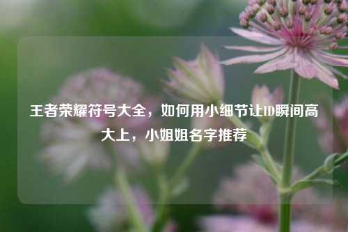 王者荣耀符号大全,如何用小细节让ID瞬间高大上,小姐姐名字推荐