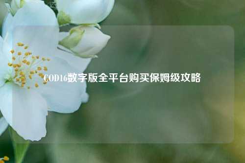 COD16数字版全平台购买保姆级攻略