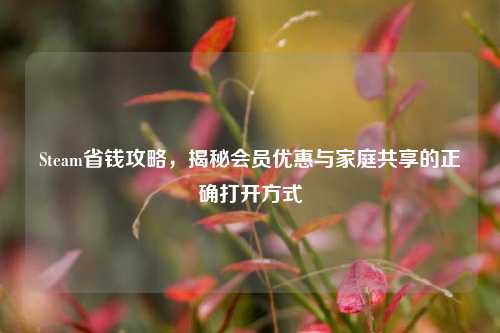 Steam省钱攻略,揭秘会员优惠与家庭共享的正确打开方式