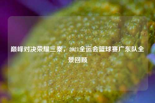 巅峰对决荣耀三秦,2021全运会篮球赛广东队全景回顾
