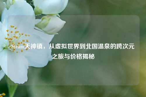 Steam天神镇，从虚拟世界到北国温泉的跨次元之旅与价格揭秘