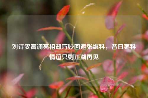 刘诗雯高调亮相却巧妙回避张继科,昔日枣科情谊只剩江湖再见