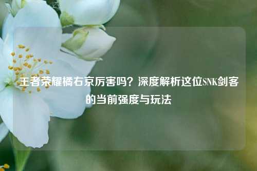 王者荣耀橘右京厉害吗?深度解析这位SNK剑客的当前强度与玩法