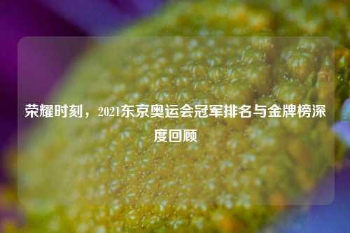 荣耀时刻,2021东京奥运会冠军排名与金牌榜深度回顾