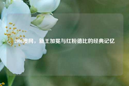 2008澳网，新王加冕与红粉德比的经典记忆