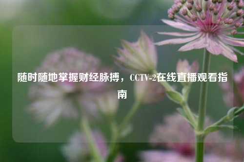 随时随地掌握财经脉搏,CCTV-2在线直播观看指南