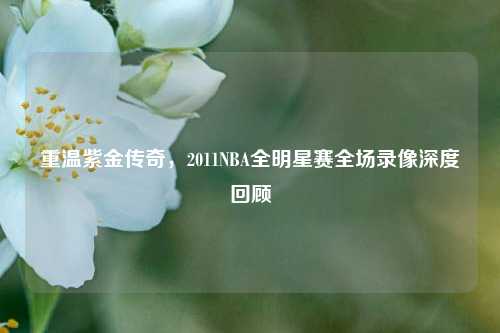 重温紫金传奇,2011NBA全明星赛全场录像深度回顾
