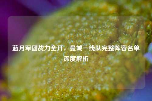 蓝月军团战力全开,曼城一线队完整阵容名单深度解析