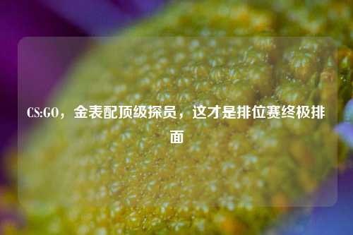 CS:GO,金表配顶级探员,这才是排位赛终极排面