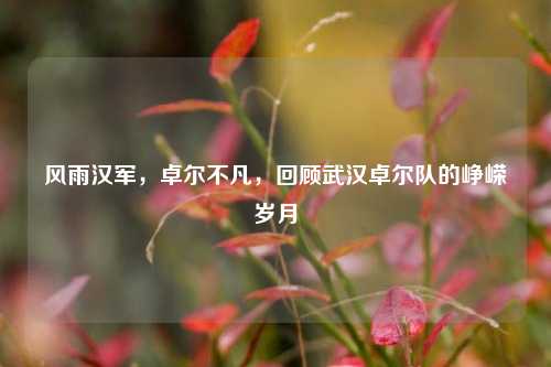风雨汉军,卓尔不凡,回顾武汉卓尔队的峥嵘岁月