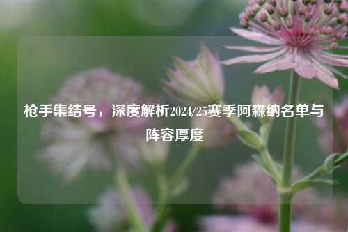 枪手集结号,深度解析2024/25赛季阿森纳名单与阵容厚度