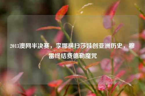 2013澳网半决赛，李娜横扫莎娃创亚洲历史，穆雷终结费德勒魔咒